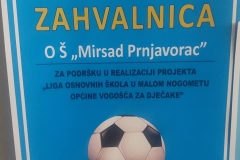 73305595_2766047280072481_9002975021261389824_n