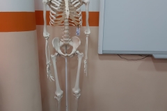 129016239_3801247649885767_1205901544623766959_o